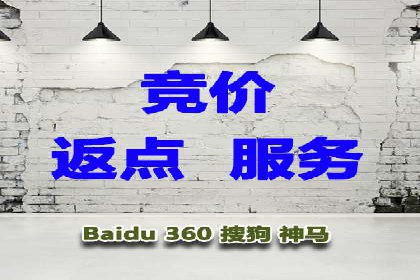 SEM服务公司助力品牌崛起案例